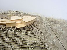 site model